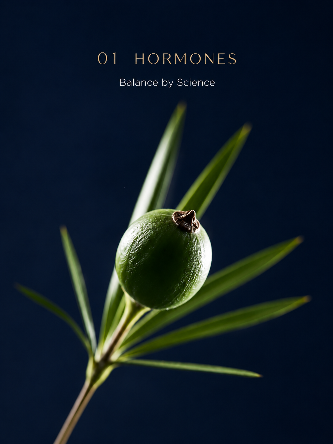 Hormones — balance by science